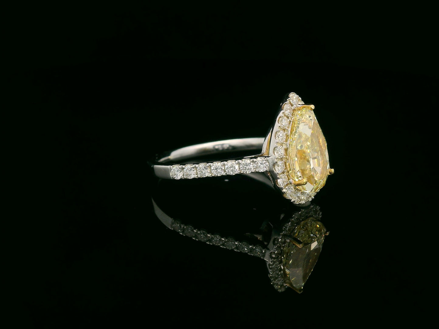 18K white gold ring featuring a 2.15 carat fancy yellow pear-shaped diamond with diamond halo and pavé band, IGI certified – Emirates Diamonds