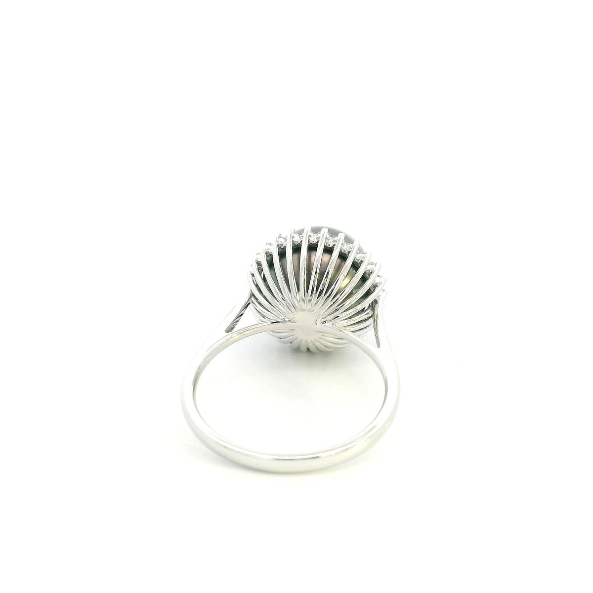 South Sea black pearl and diamond halo ring in 18K white gold featuring a lustrous dark pearl surrounded by round brilliant diamonds.