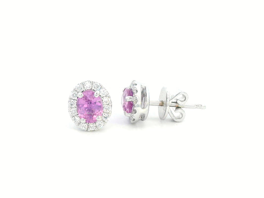 18K white gold oval pink sapphire and diamond halo stud earrings with butterfly push-back closure.