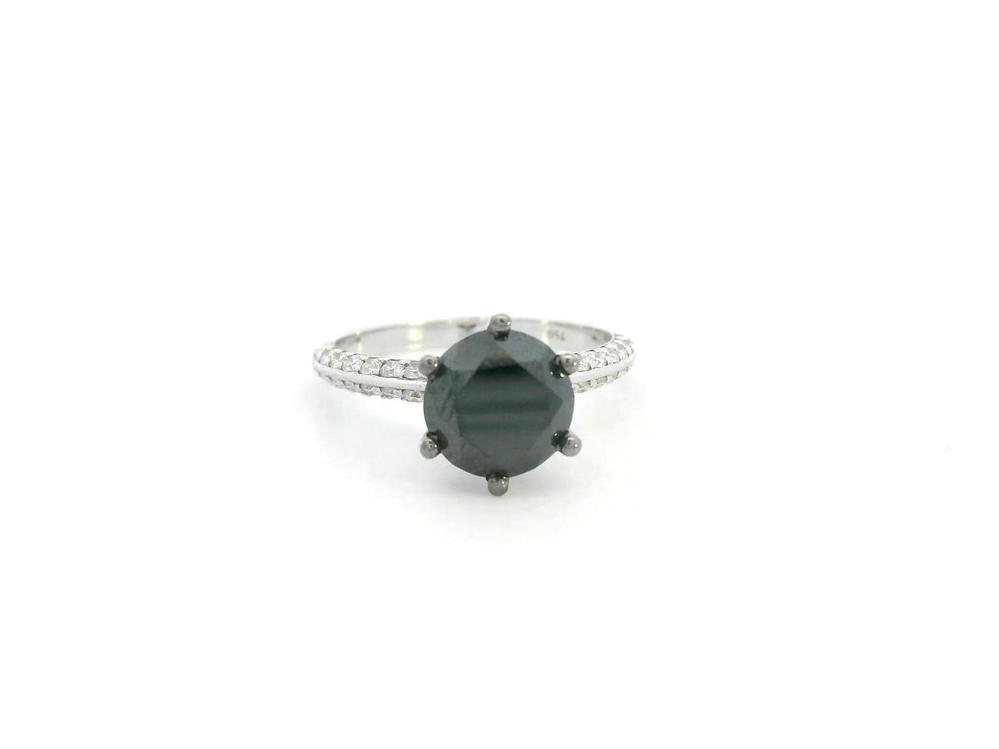 18K white gold black diamond solitaire ring with pavé diamond band by Emirates Diamonds.