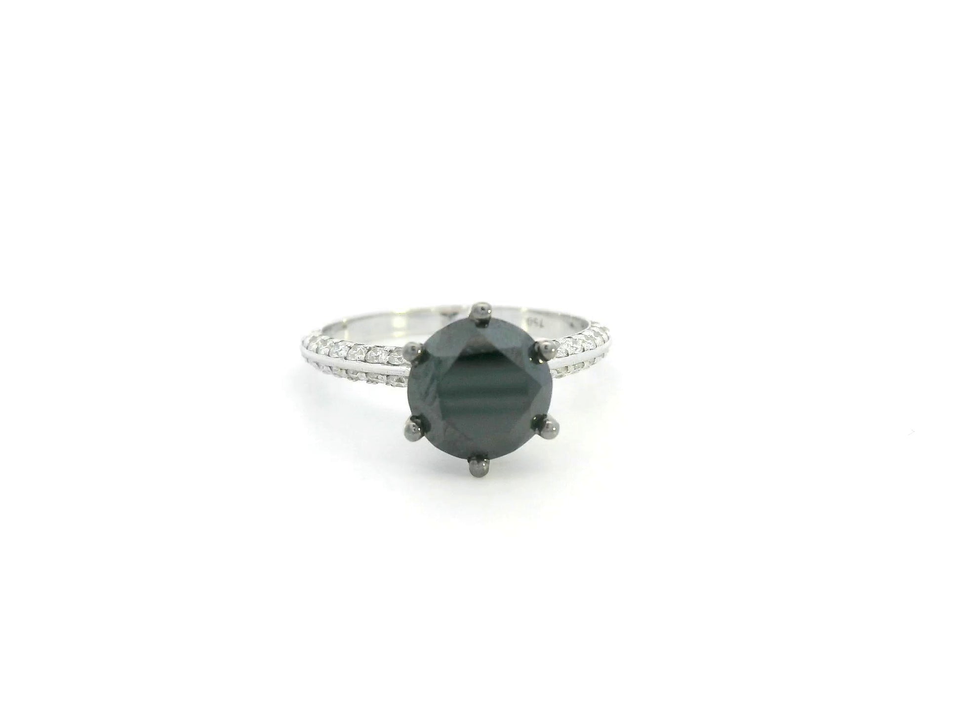 18K white gold black diamond solitaire ring with pavé diamond band by Emirates Diamonds.