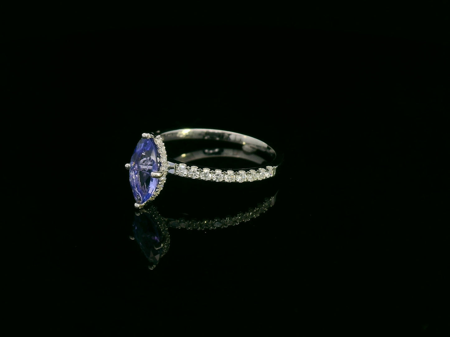 18K white gold marquise-cut tanzanite ring with diamond halo and pavé band by Emirates Diamonds
