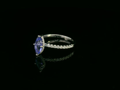 18K white gold marquise-cut tanzanite ring with diamond halo and pavé band by Emirates Diamonds