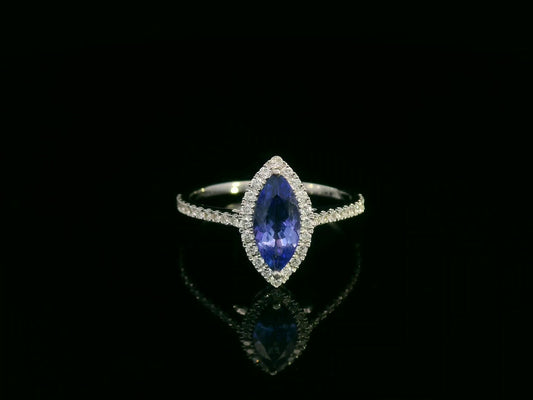 18K white gold marquise-cut tanzanite ring with diamond halo and pavé band by Emirates Diamonds