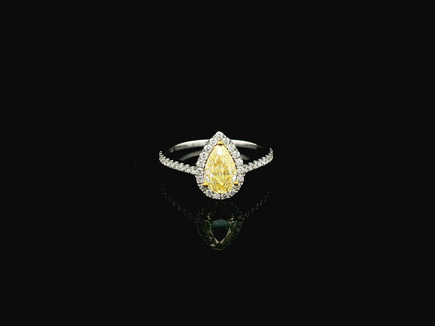 Fancy yellow pear-shaped diamond halo ring in 18K white gold with pavé diamond band and GIA certified center stone.