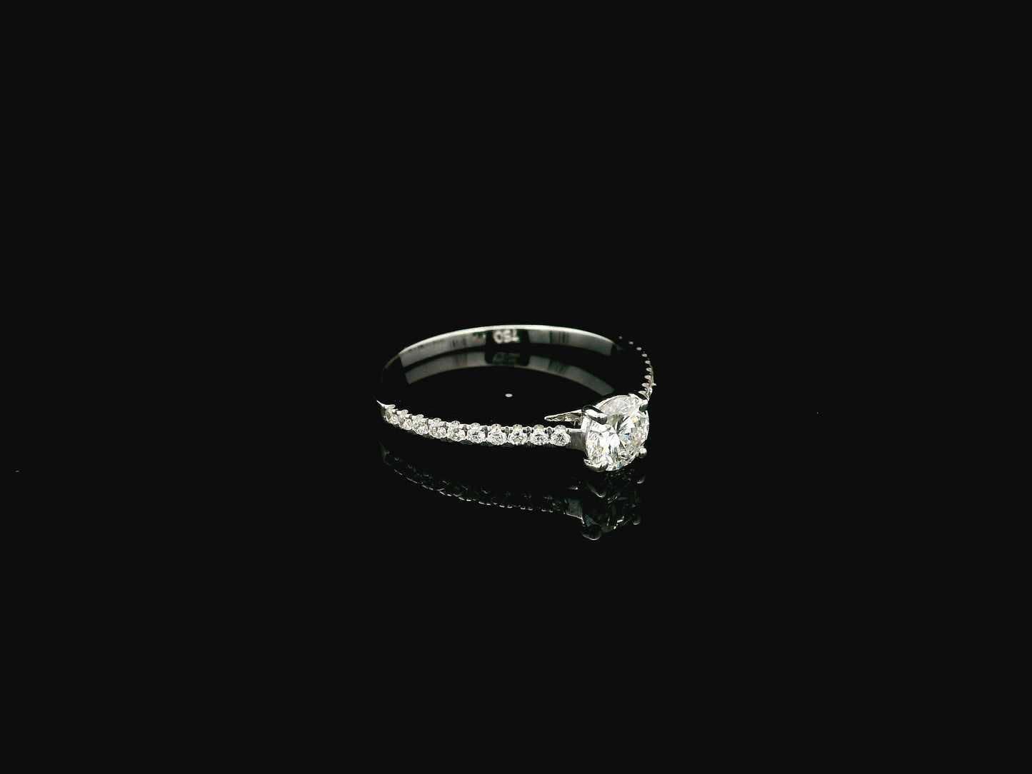 GIA certified 0.50 carat round diamond solitaire engagement ring in 18K white gold with diamond pavé band