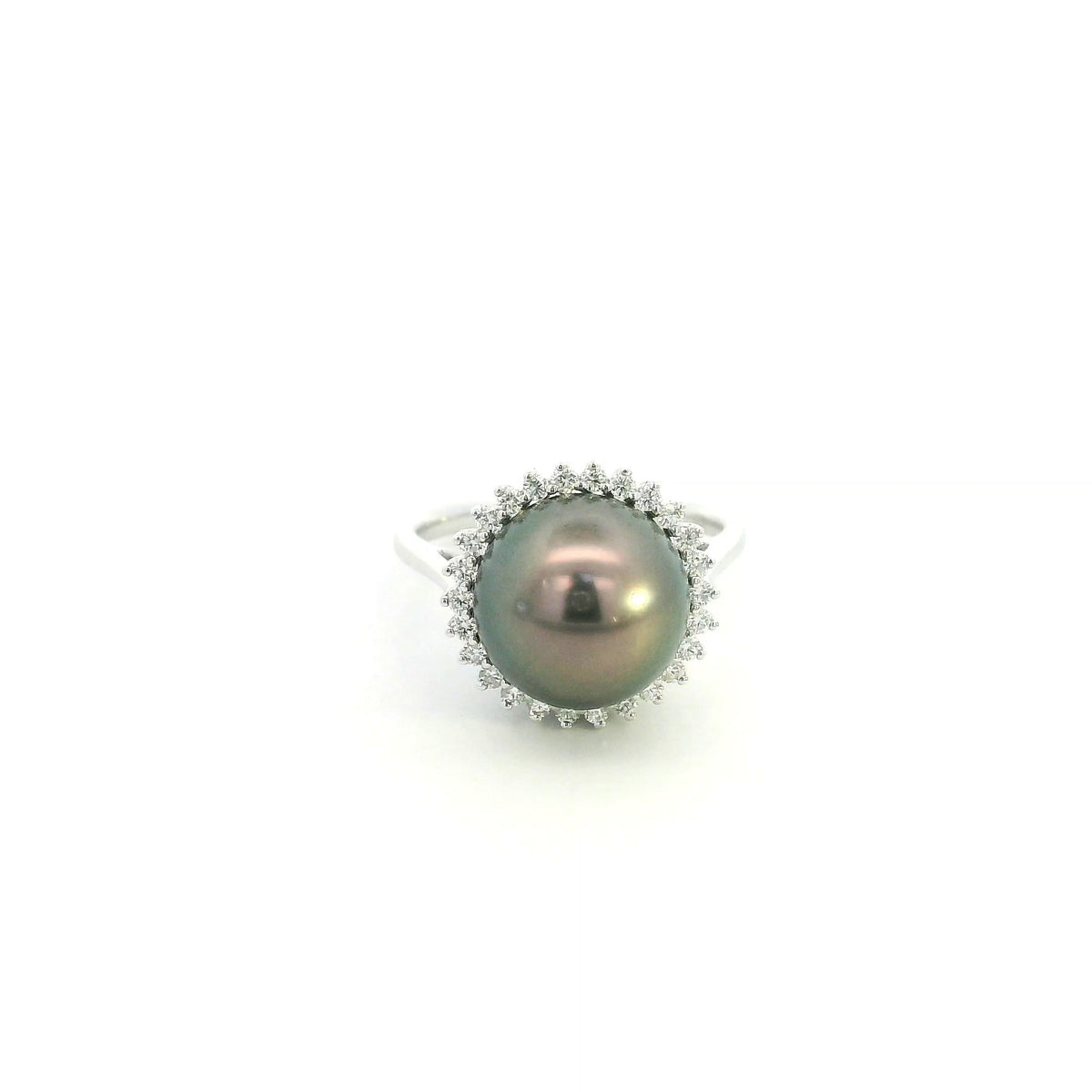 South Sea black pearl and diamond halo ring in 18K white gold featuring a lustrous dark pearl surrounded by round brilliant diamonds.