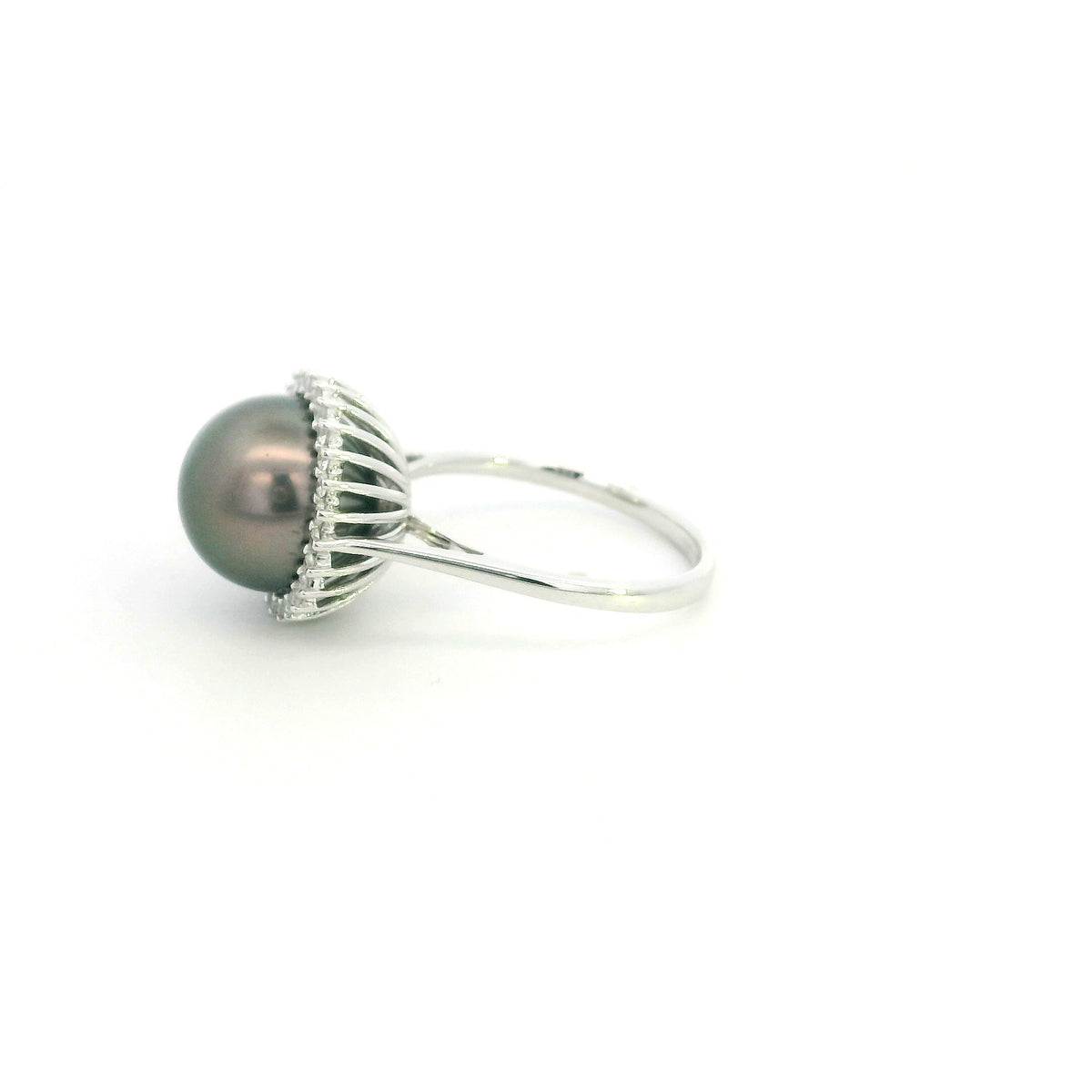 South Sea black pearl and diamond halo ring in 18K white gold featuring a lustrous dark pearl surrounded by round brilliant diamonds.