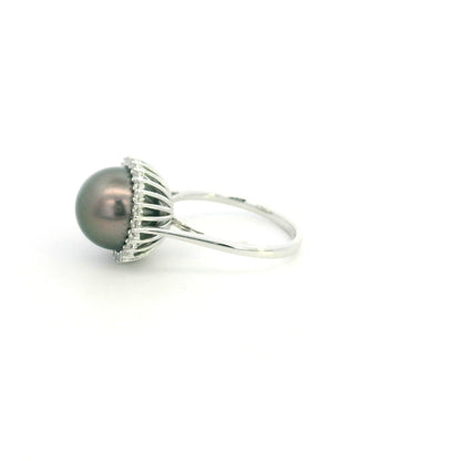 South Sea black pearl and diamond halo ring in 18K white gold featuring a lustrous dark pearl surrounded by round brilliant diamonds.