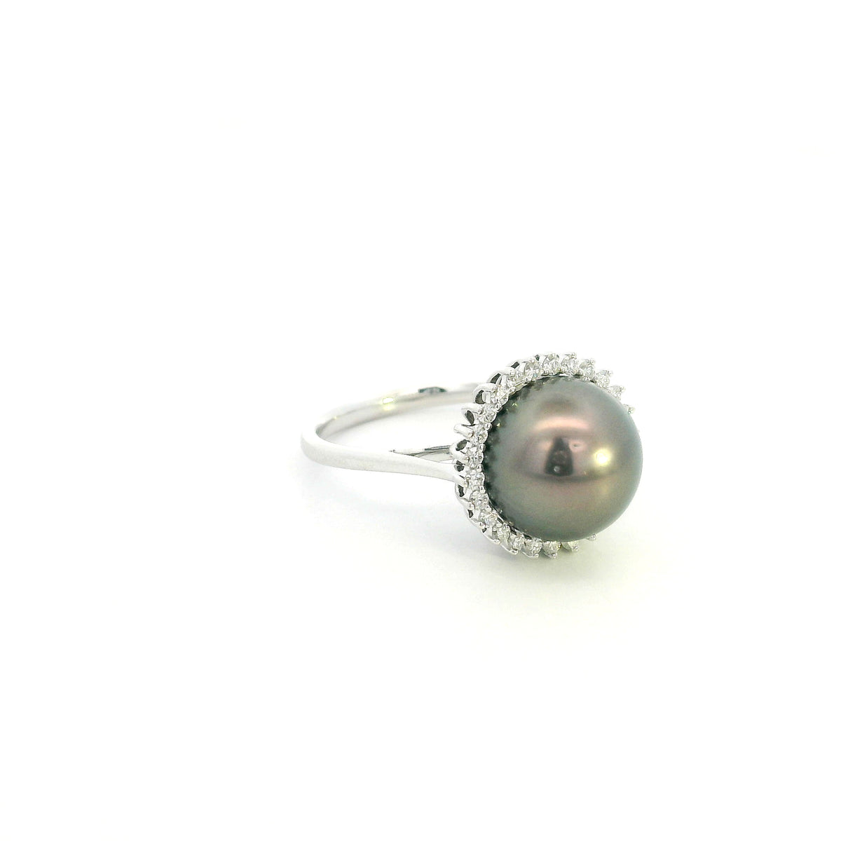 South Sea black pearl and diamond halo ring in 18K white gold featuring a lustrous dark pearl surrounded by round brilliant diamonds.