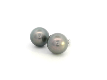 Tahitian black pearl stud earrings in 18K white gold featuring South Sea pearls by Emirates Diamonds