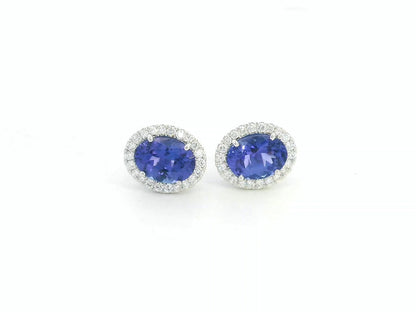 Tanzanite and diamond halo stud earrings in 18K white gold by Emirates Diamonds.