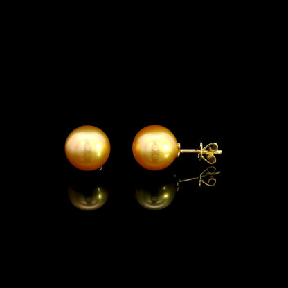 South Sea golden pearl stud earrings in 18K yellow gold with luminous round golden pearls