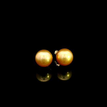South Sea golden pearl stud earrings in 18K yellow gold with luminous round golden pearls