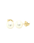Fresh Water White Pearl Stud Earrings In 18k Yellow Gold.