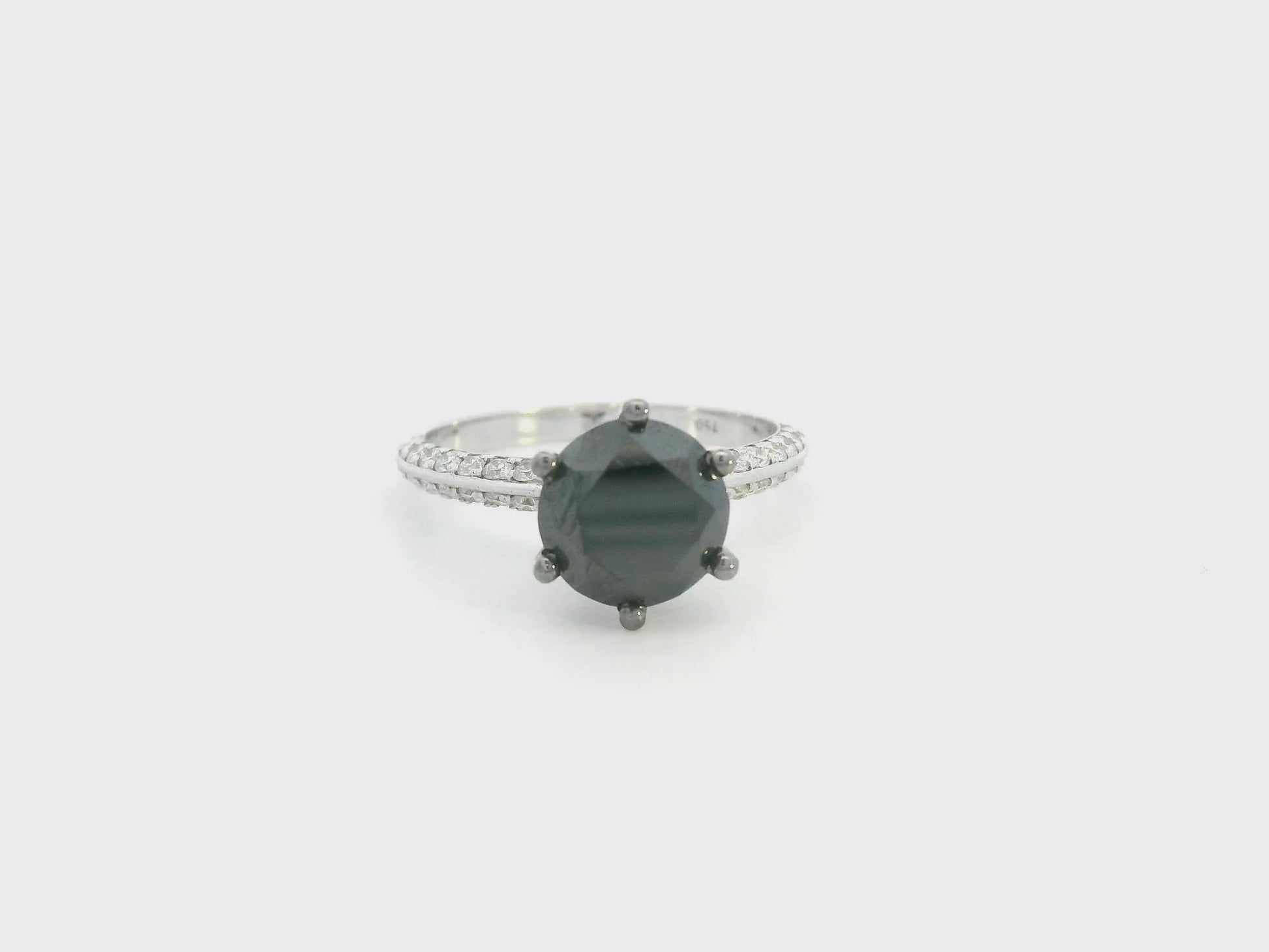 18K white gold black diamond solitaire ring with pavé diamond band by Emirates Diamonds.