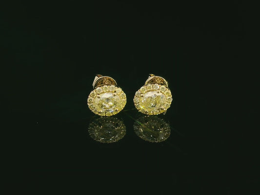 Classic halo diamond earrings in yellow gold featuring vibrant yellow center stones