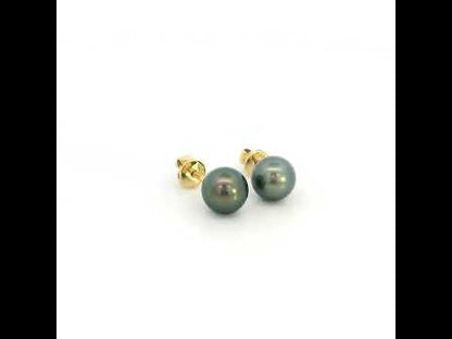 Tahitian black pearl stud earrings in 18K yellow gold with 7 x 7.5 mm pearls